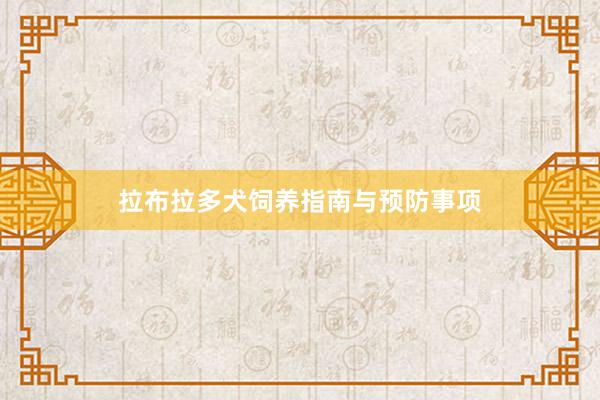 拉布拉多犬饲养指南与预防事项