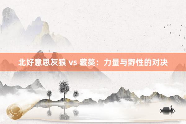 北好意思灰狼 vs 藏獒：力量与野性的对决
